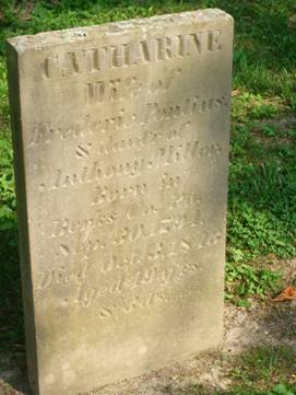 click for larger size