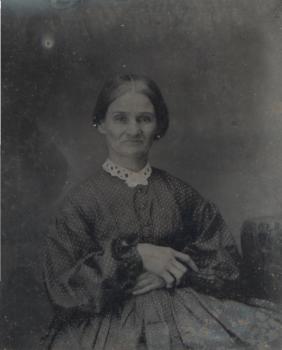 click for larger size