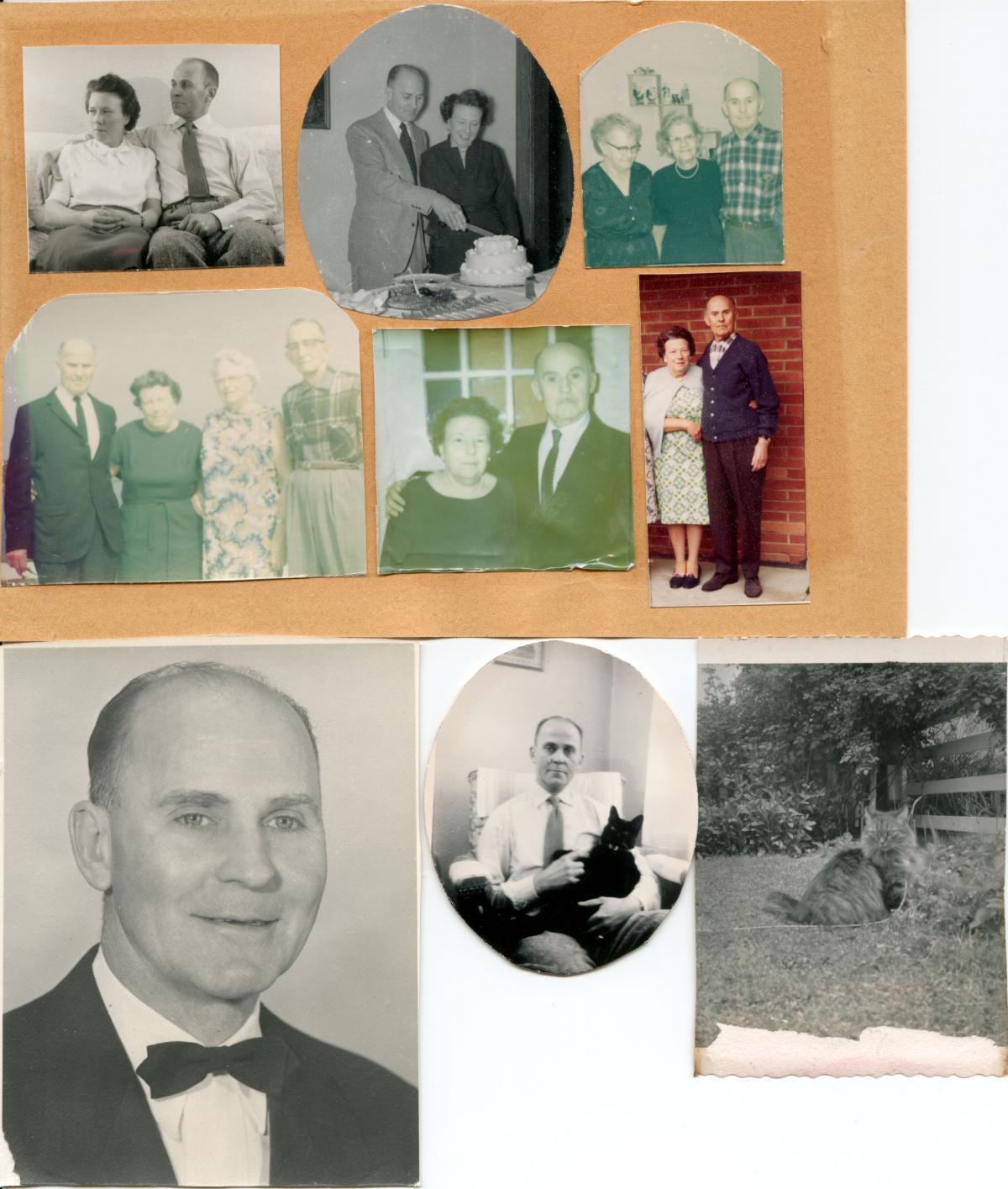 click for larger size