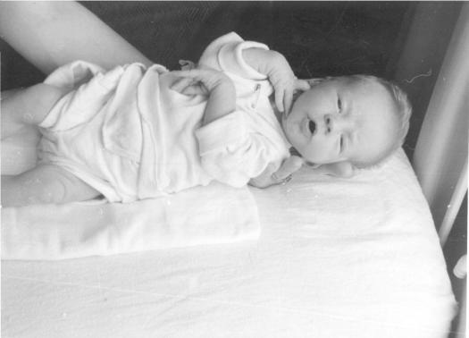 click for larger size