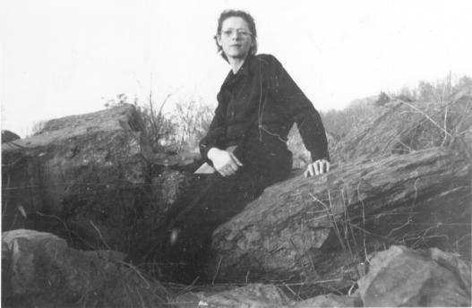 click for larger size