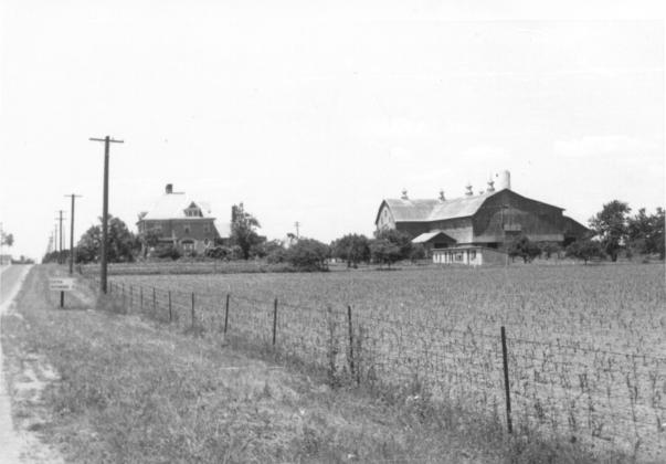 click for larger size