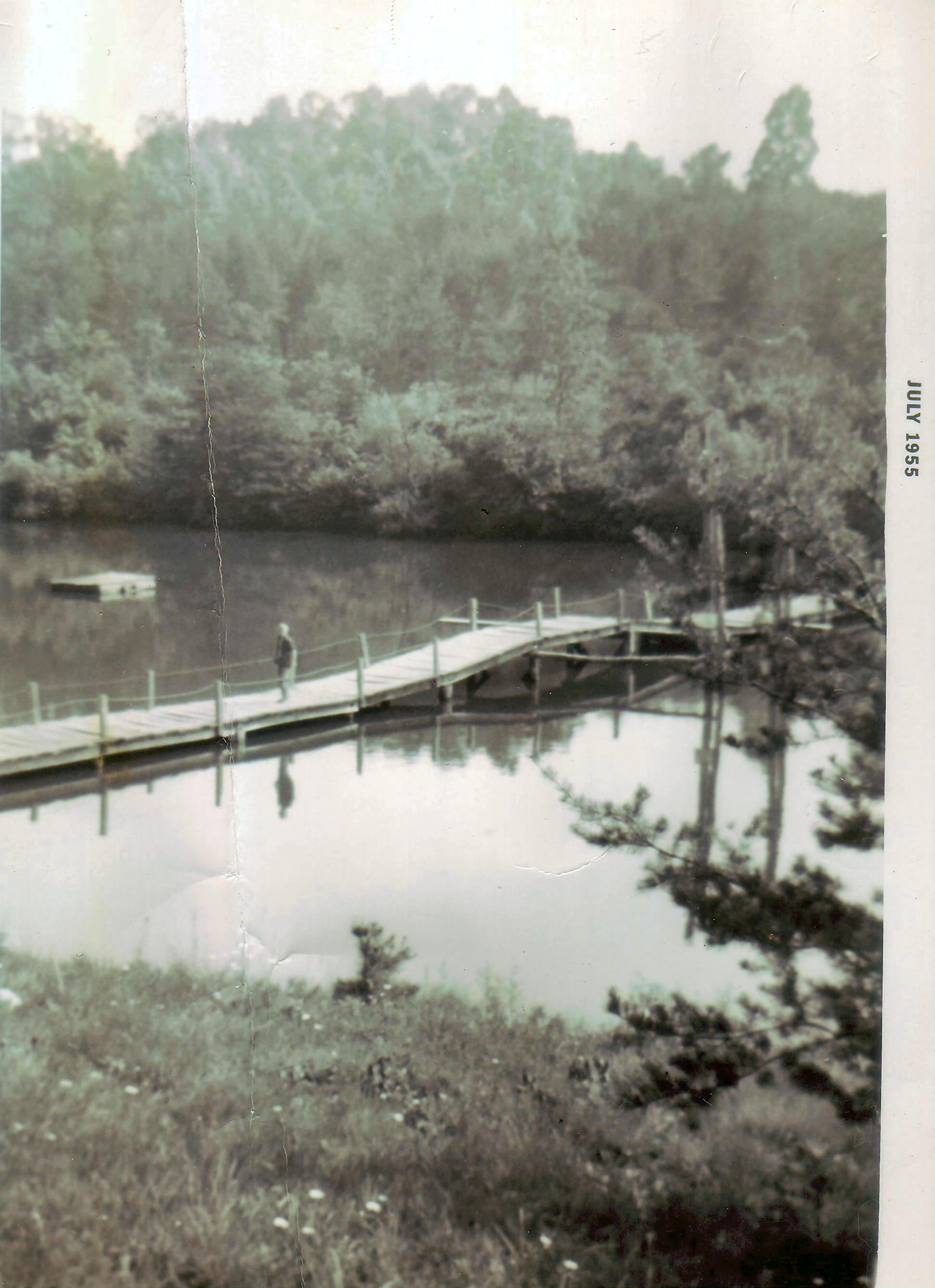 click for larger size