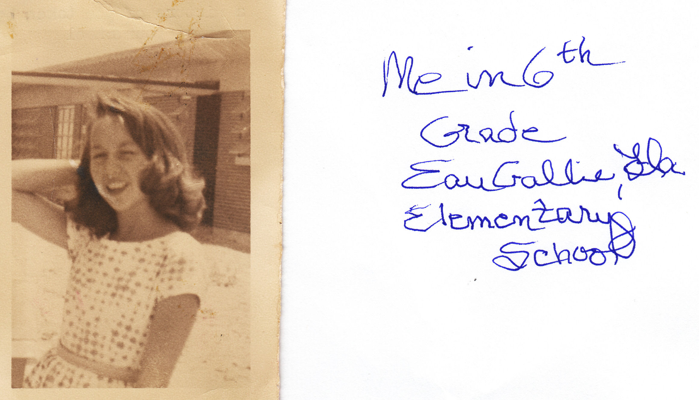 click for larger size