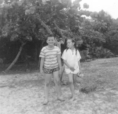 click for larger size