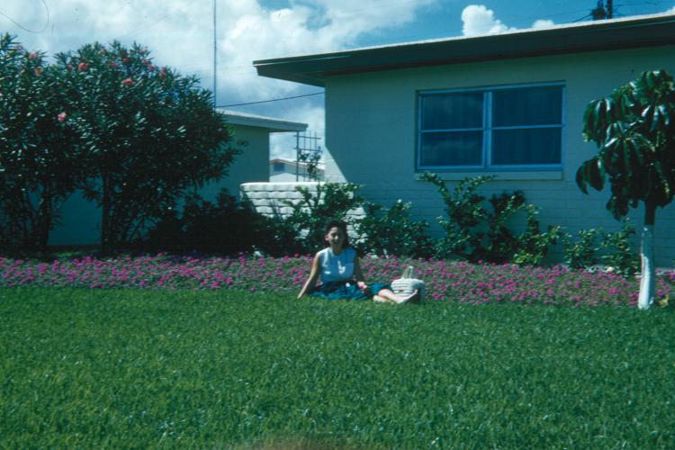 click for larger size