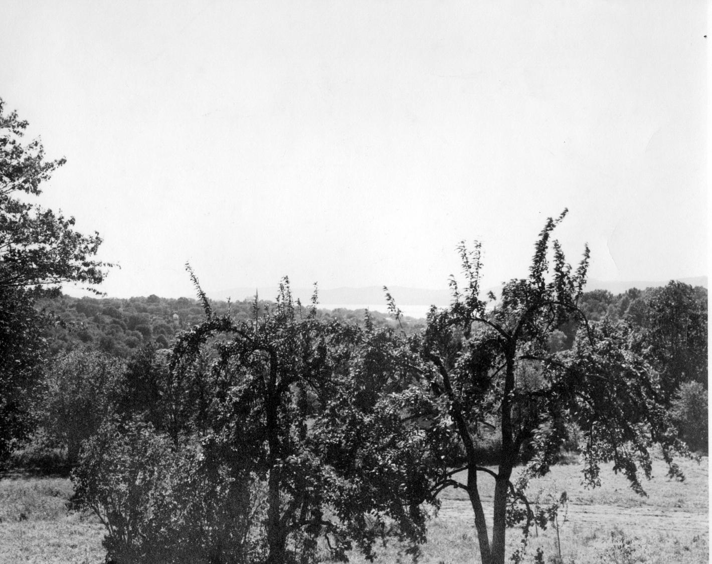 click for larger size