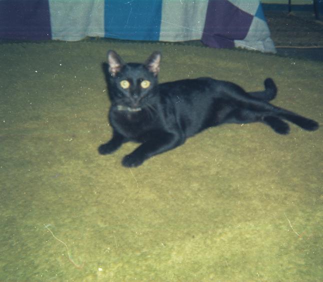 click for larger size