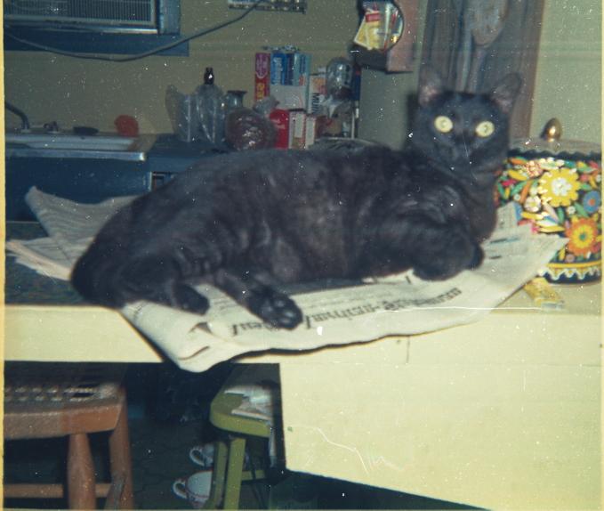 click for larger size