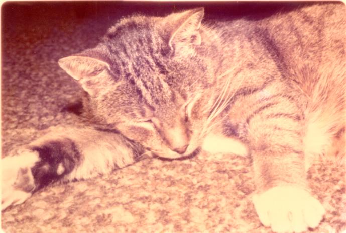 click for larger size