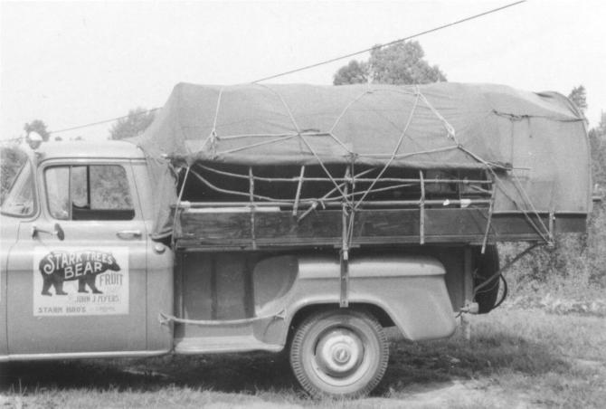 click for larger size