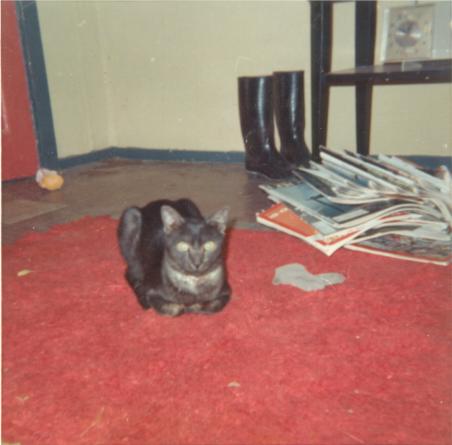 click for larger size