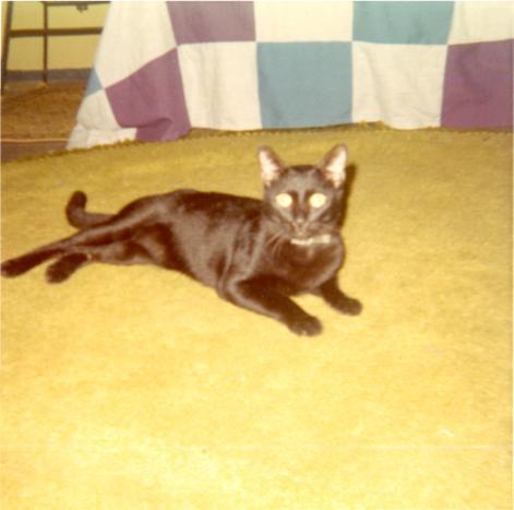 click for larger size