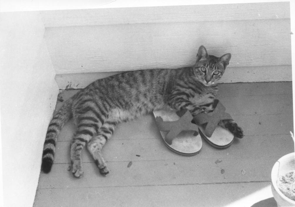 click for larger size