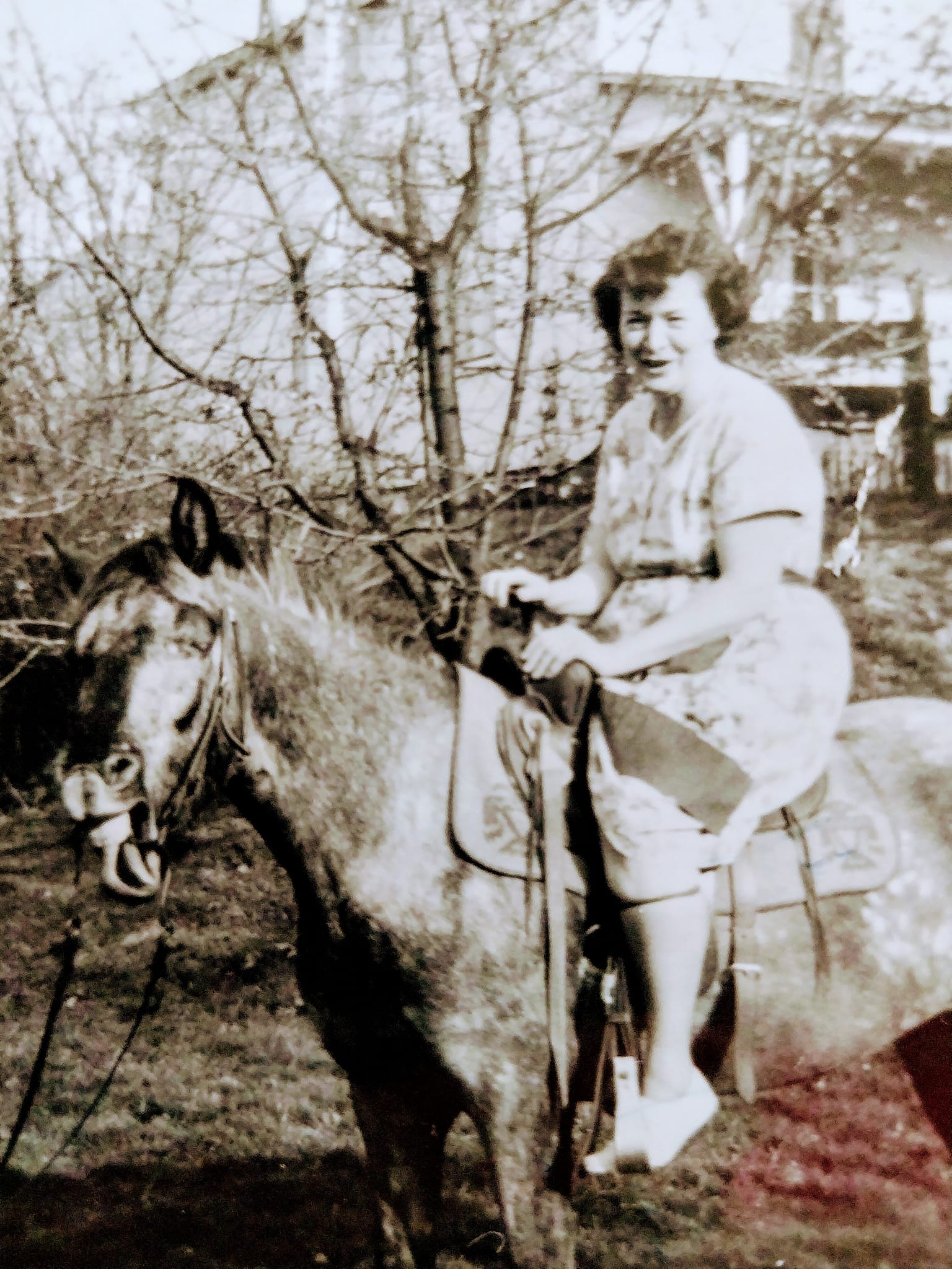 click for larger size