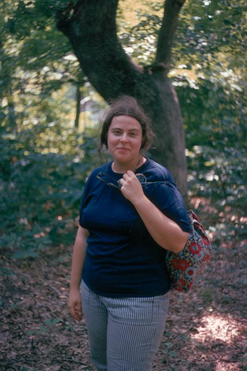 click for larger size