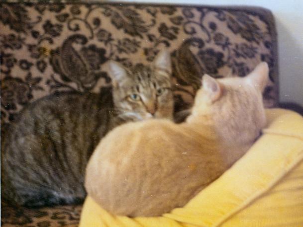 click for larger size