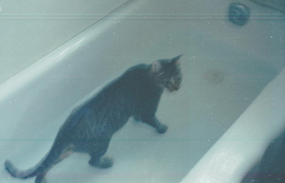 click for larger size