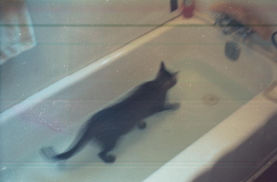 click for larger size