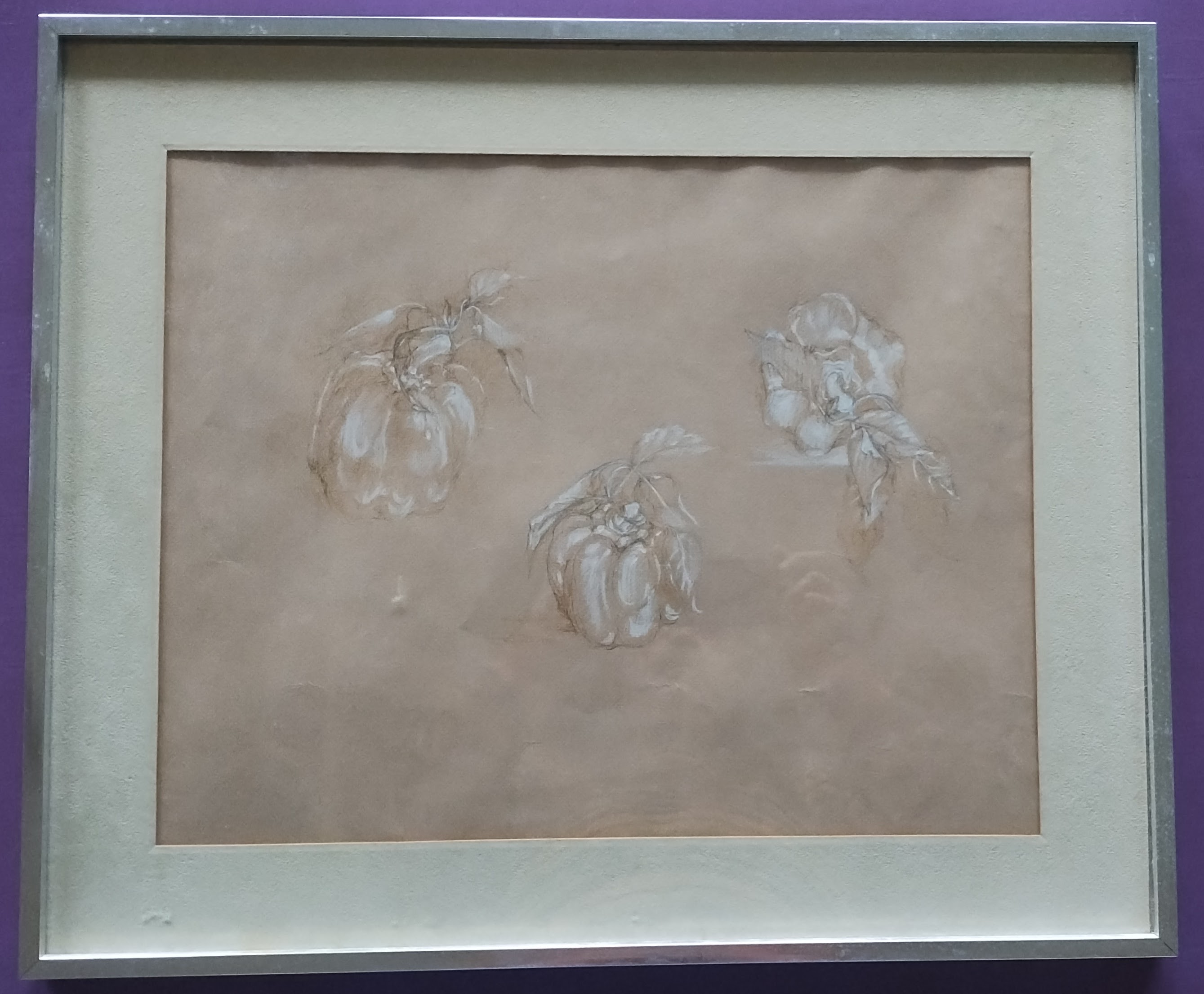 click for larger size