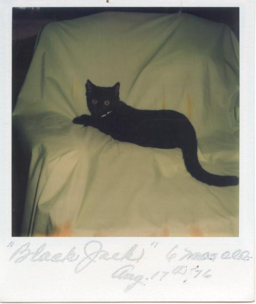 click for larger size