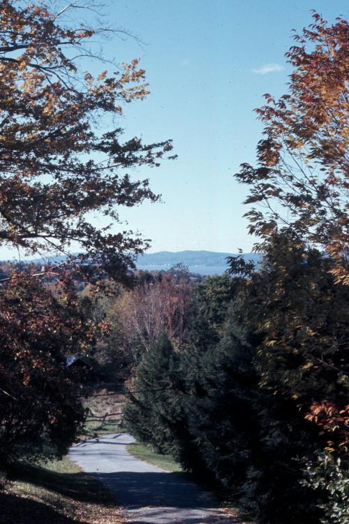 click for larger size