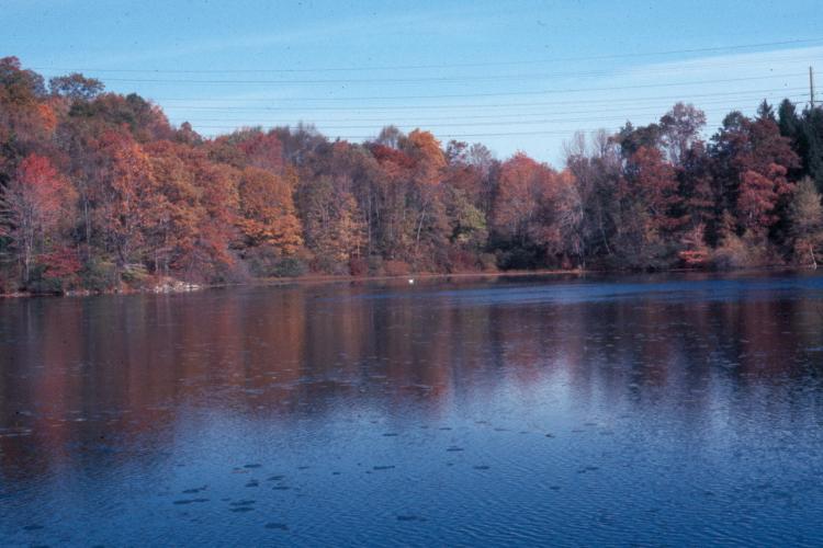 click for larger size