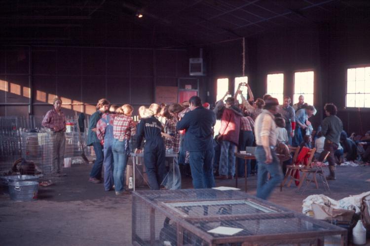 click for larger size