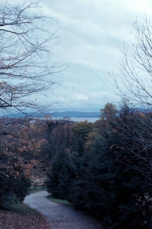 click for larger size