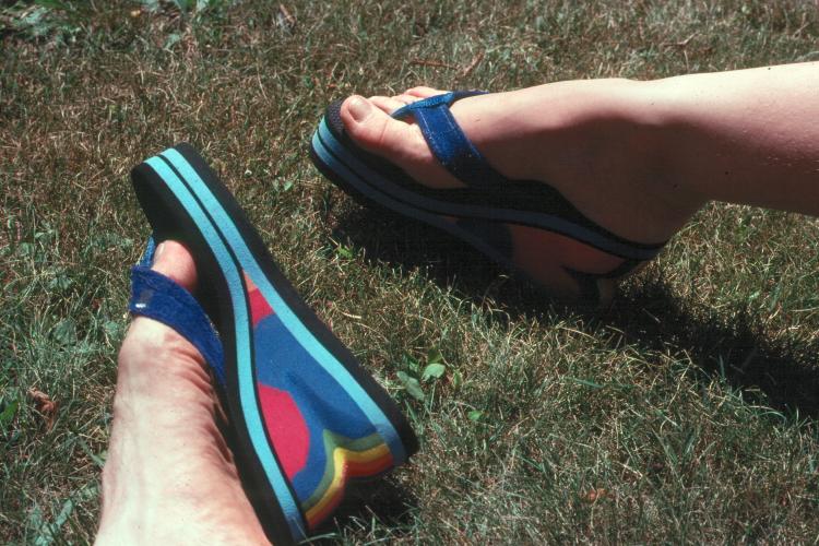 click for larger size