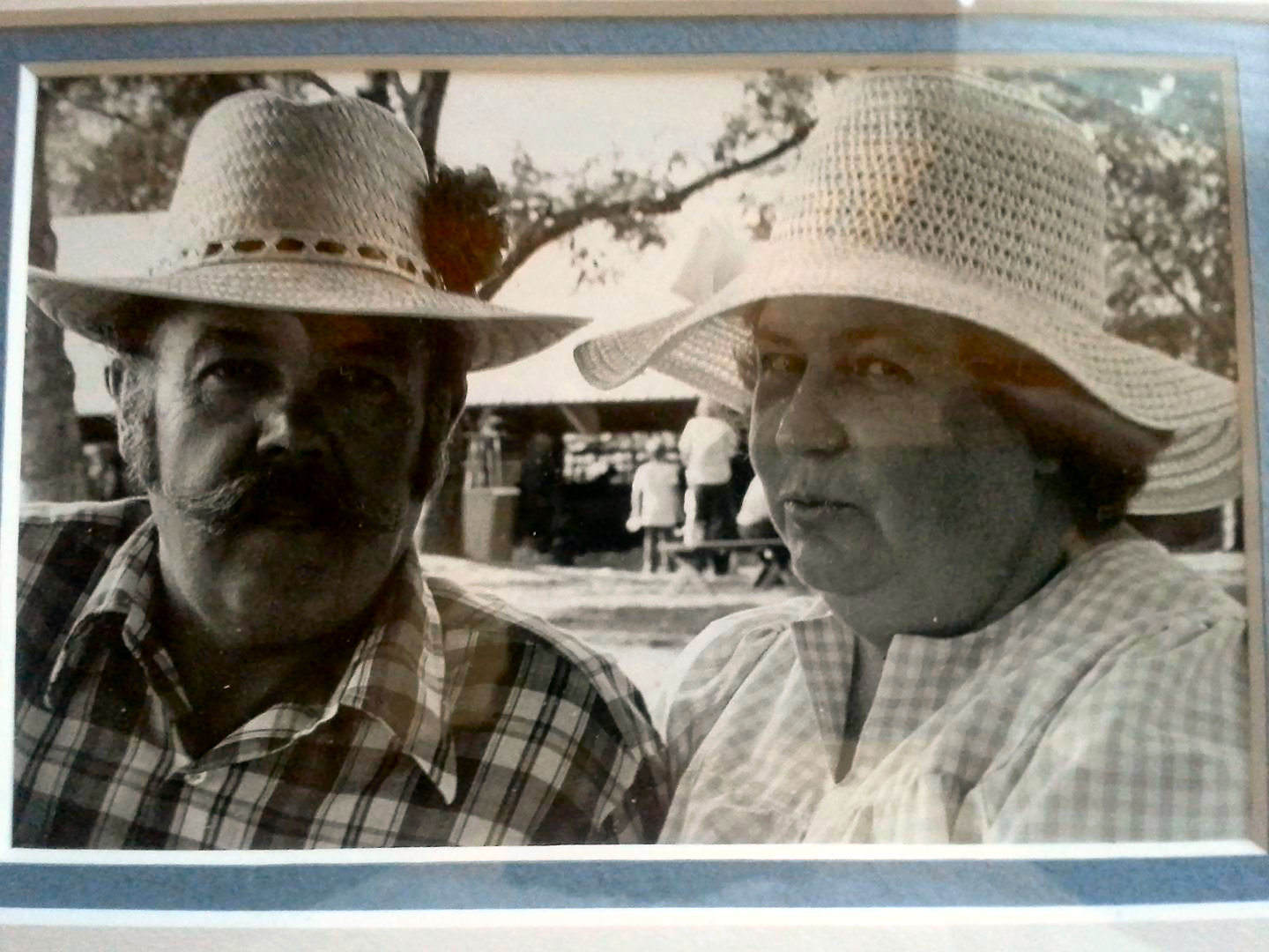 click for larger size