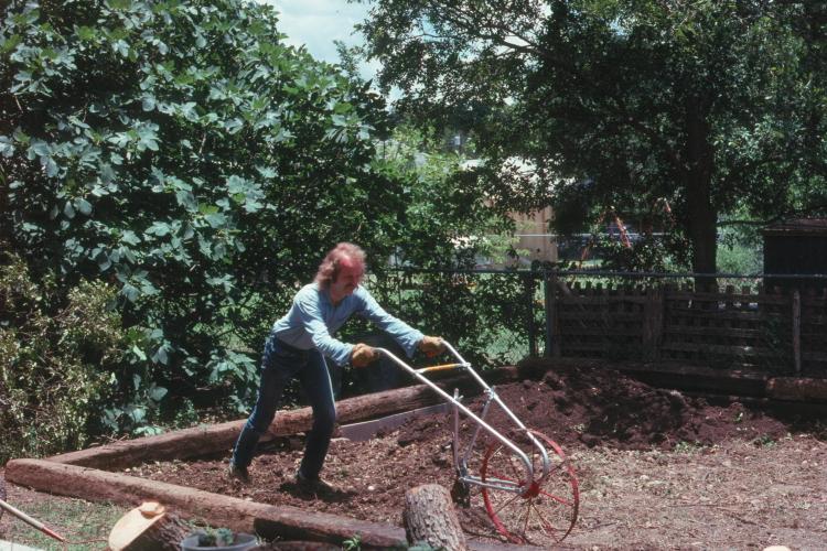 click for larger size