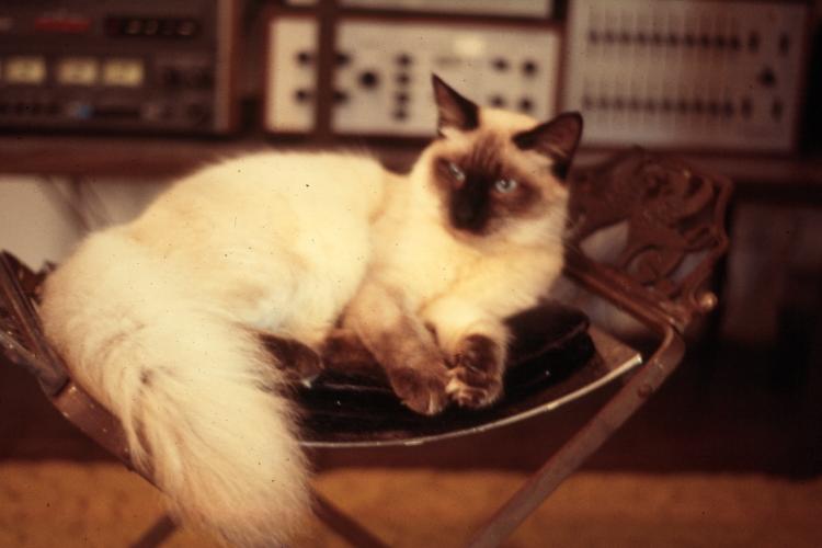 click for larger size