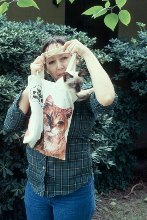 click for larger size