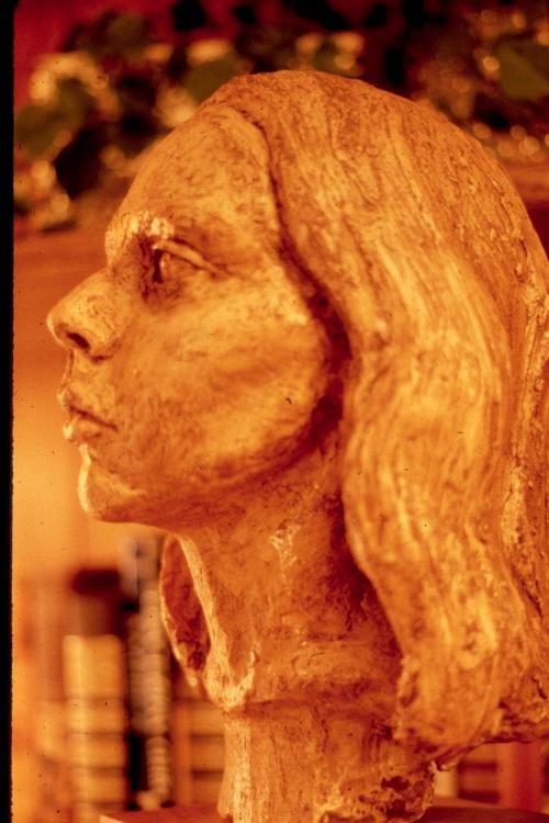 click for larger size