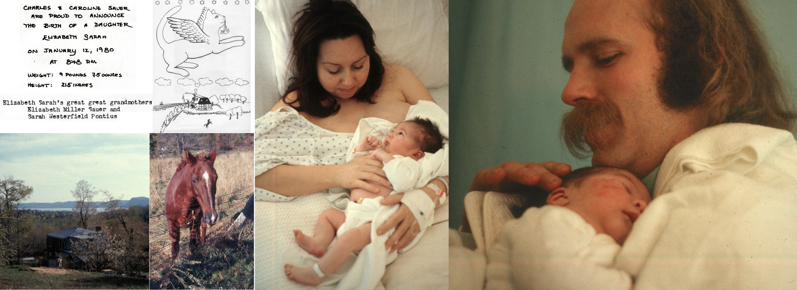 click for larger size