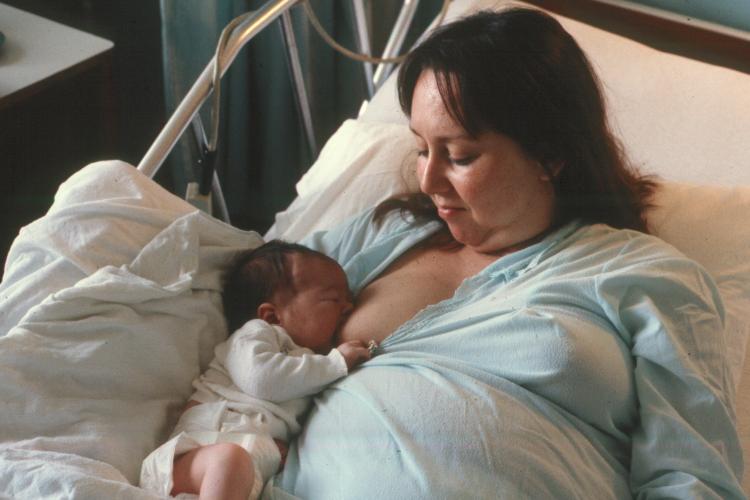 click for larger size