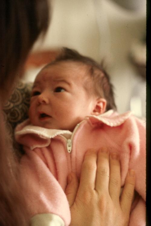 click for larger size