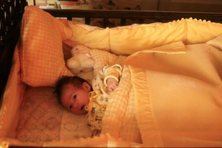 click for larger size