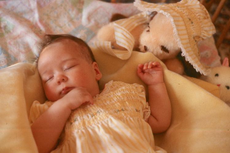 click for larger size