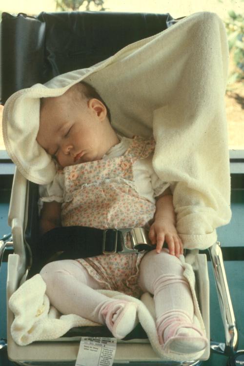 click for larger size