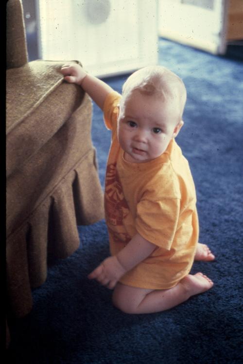 click for larger size