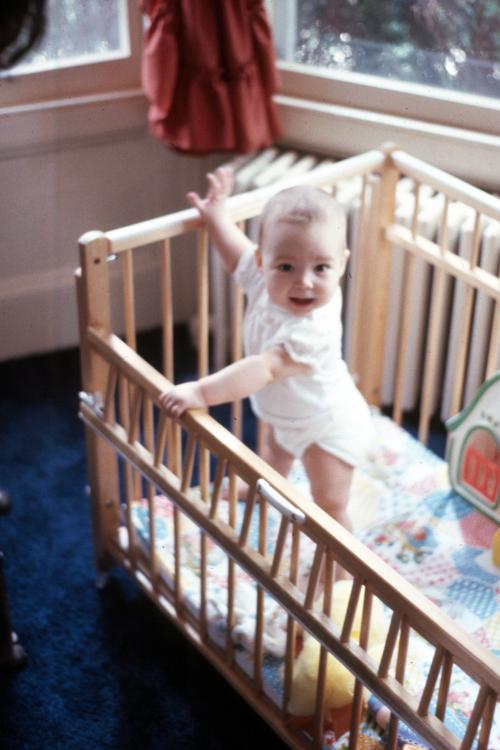 click for larger size