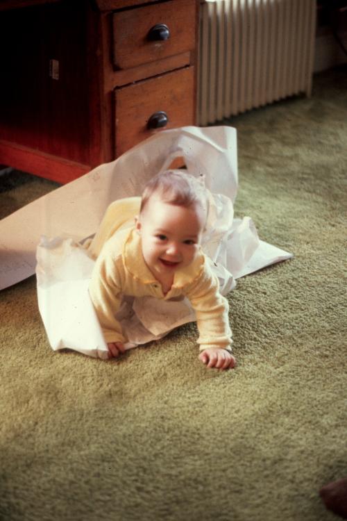 click for larger size