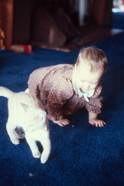 click for larger size