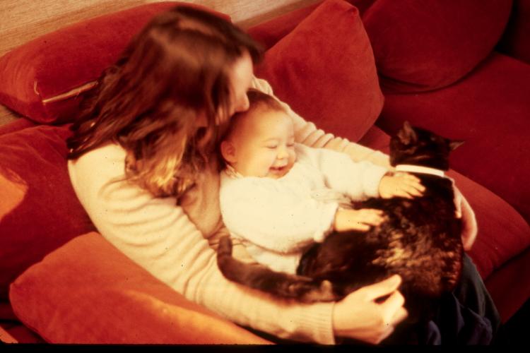 click for larger size