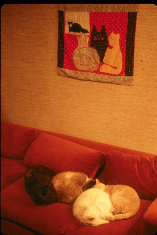 click for larger size