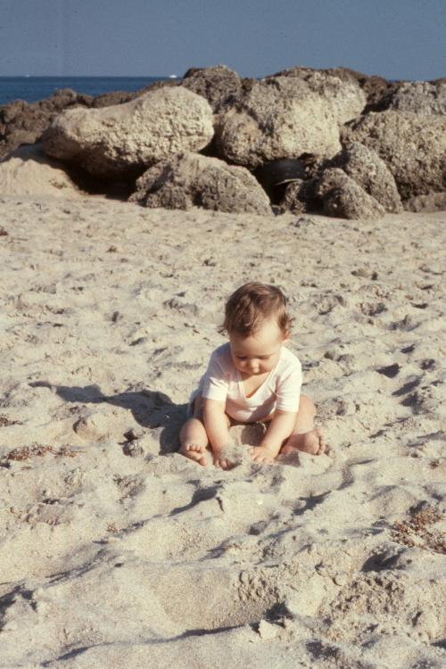 click for larger size