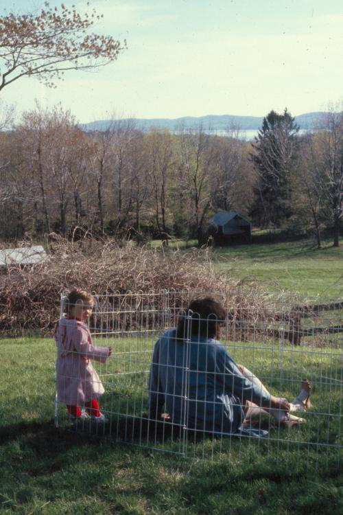 click for larger size