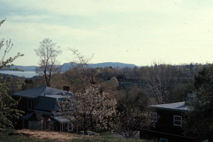 click for larger size